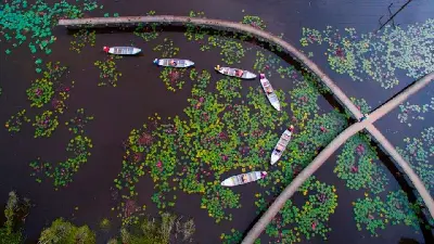 Tour du lịch sinh thái làng chài nổi Tân Lập trong ngày (ảnh 4)