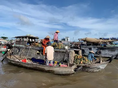 Bình minh trên sông: Chợ nổi Cái Răng và Vườn trái cây
