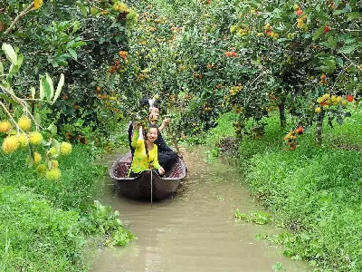 Bình minh trên sông: Chợ nổi Cái Răng và Vườn trái cây (ảnh 4)