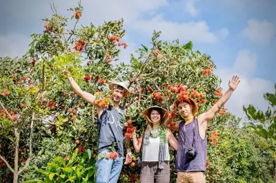 Bình minh trên sông: Chợ nổi Cái Răng và Vườn trái cây (ảnh 5)