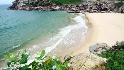 Cano Bus Vịnh Nha Trang kèm đón nội thành miễn phí (ảnh 2)