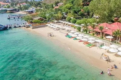 Tour lặn khám phá đáy biển Nha Trang (ảnh 3)