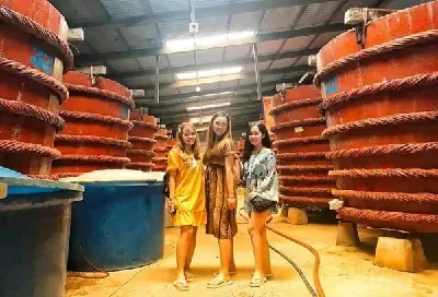 TOUR NAM ĐẢO PHÚ QUỐC 1 NGÀY – THAM QUAN 6 ĐIỂM NỔI TIẾNG (ảnh 3)