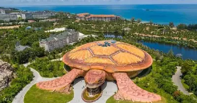 TOUR VINWONDERS PHÚ QUỐC & GRAND WORLD 1 NGÀY (ảnh 2)