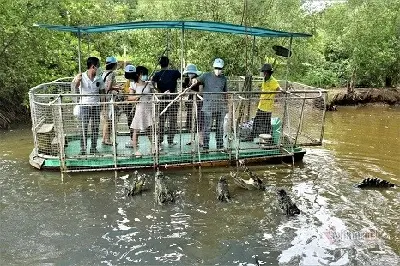 TOUR CẦN GIỜ - VŨNG TÀU: ĐẢO KHỈ - RỪNG SÁC - BIỂN - ĐÌNH - TƯỢNG CHÚA - LÀNG CHÀI (ảnh 4)