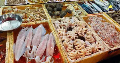 TOUR RỪNG NGẬP MẶN - KHU BẢO TỒN CÁ SẤU - CĂN CỨ RỪNG SÁC - BIỂN - CHỢ HẢI SẢN (ảnh 3)