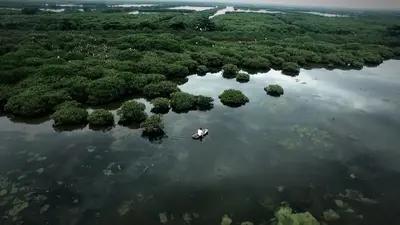 TOUR RỪNG NGẬP MẶN - KHU BẢO TỒN CÁ SẤU - CĂN CỨ RỪNG SÁC - BIỂN - CHỢ HẢI SẢN (ảnh 4)