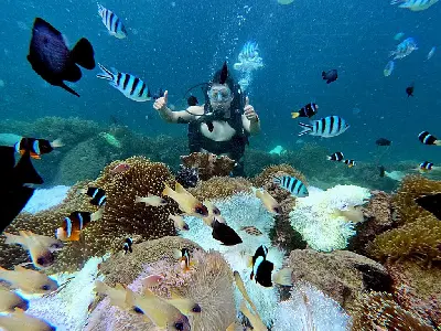 Tour lặn khám phá đáy biển Nha Trang