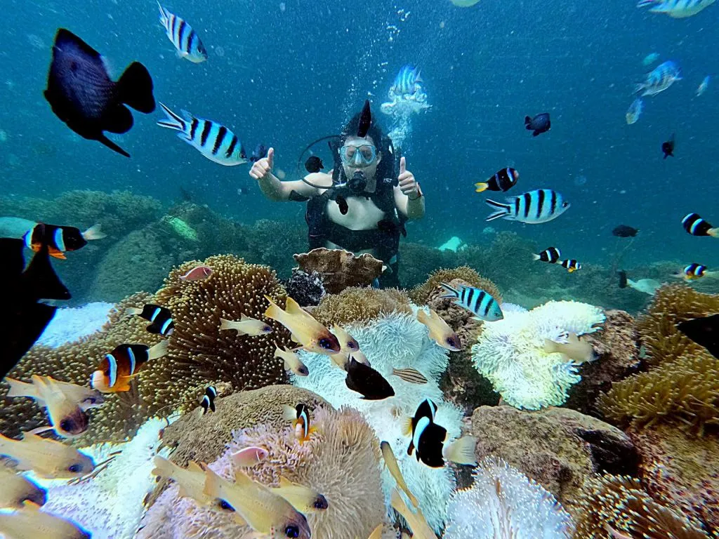 Tour lặn khám phá đáy biển Nha Trang — Nha Trang