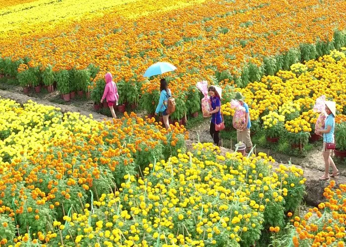 Làng Hoa Sa Đéc - Vườn Quýt Hồng Lai Vung - Chùa Lá Sen — Đồng Tháp — Hồ Chí Minh, Việt Nam