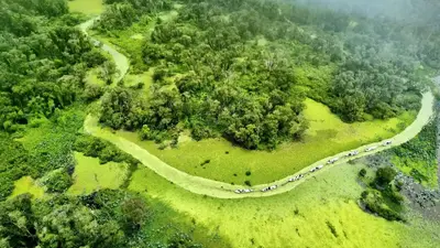 TOUR CẦN THƠ – CHÂU ĐỐC – MIẾU BÀ CHÚA XỨ - RỪNG TRÀM TRÀ SƯ (ảnh 4)