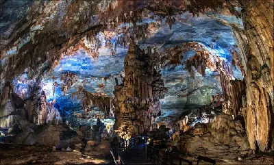 TOUR VƯỜN THỰC VẬT - ĐỘNG THIÊN ĐƯỜNG - ĐỘNG PHONG NHA (ảnh 2)