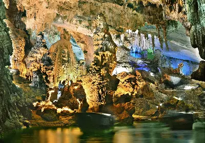 TOUR VƯỜN THỰC VẬT - ĐỘNG THIÊN ĐƯỜNG - ĐỘNG PHONG NHA (ảnh 3)