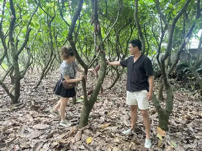 TOUR BUÔN MA THUỘT - THÁC DRAY SÁP - DAKLAK (ảnh 4)