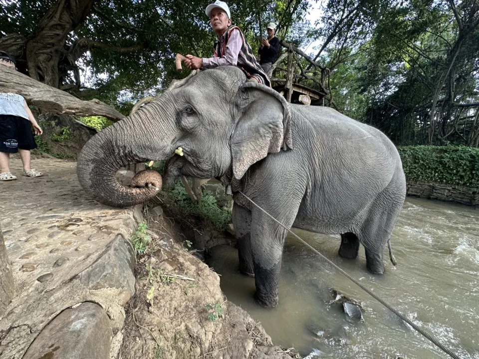 TOUR THÁC DRAY NUR - BUÔN ĐÔN — Đắk Lắk