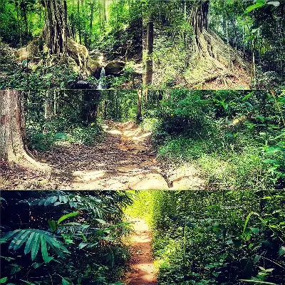 TOUR PLEIKU TREKKING VƯỜN QUỐC GIA KON KA KINH (ảnh 2)