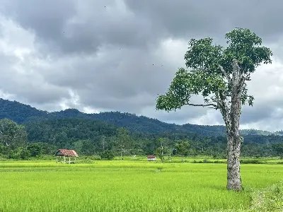 TOUR PLEIKU TREKKING VƯỜN QUỐC GIA KON KA KINH (ảnh 5)