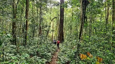 TOUR PLEIKU TREKKING VƯỜN QUỐC GIA KON KA KINH (ảnh 3)