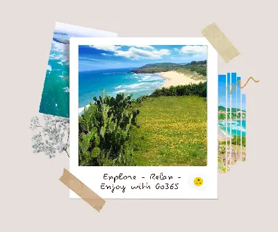 TOUR QUY NHƠN - NHA TRANG 5D4N (ảnh 3)