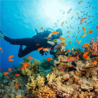 NHA TRANG TOUR 2D1N (photo 4)