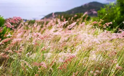 나트랑 - 빈바섬 1박 2일 투어 (사진 3)