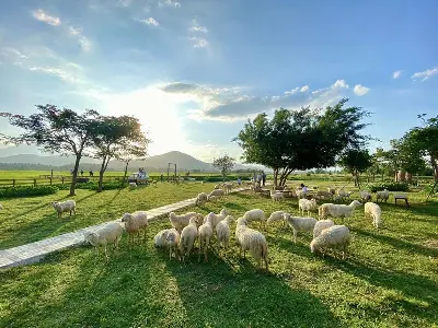 NHA TRANG TOUR 5D4N (photo 3)