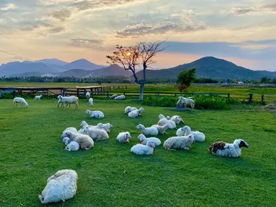 NHA TRANG - VĨNH HY 3N2D (ảnh 3)