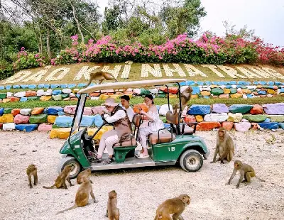 TOUR NHA PHU (SUỐI HOA LAN – ĐẢO KHỈ) 1 NGÀY – CÓ XE ĐÓN TẠI NHA TRANG (ảnh 2)