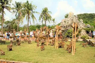 TOUR NHA TRANG 4N3Đ (ĐI VỊNH NHA PHU) (ảnh 3)