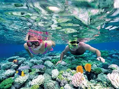 TOUR 3 ĐẢO HÒN MUN - HÒN TẰM