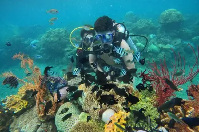 Nha Trang 三島浮潛 ‧ 船上 BBQ 一日遊 (照片 3)