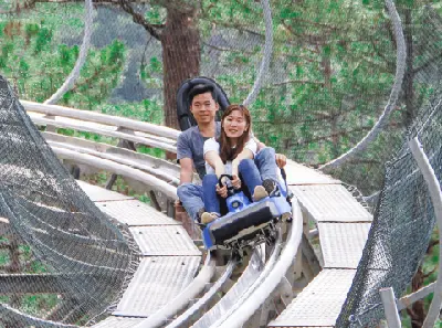 ĐÀ LẠT 之旅：Luge Kart、Mongoland & 高山滑道  (照片 4)