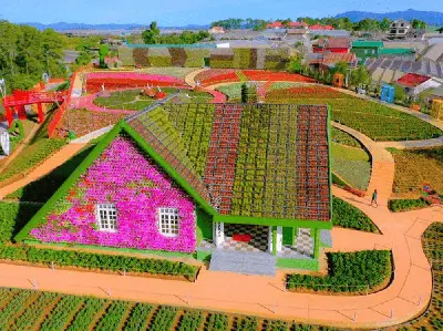 TOUR ĐÀ LẠT CHECK IN CÙNG HOA
