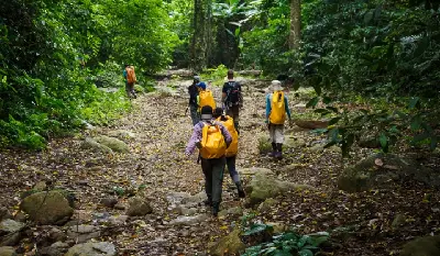 TOUR PLEIKU TREKKING VƯỜN QUỐC GIA KON KA KINH (ảnh 4)