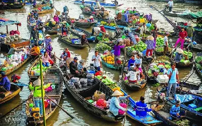 TOUR THAM QUAN CHỢ NỔI CÁI BÈ - CÙ LAO TÂN PHONG - VƯỜN TRÁI CÂY 1 NGÀY
