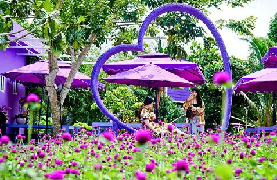 CITY CẦN THƠ 1 NGÀY (ảnh 3)