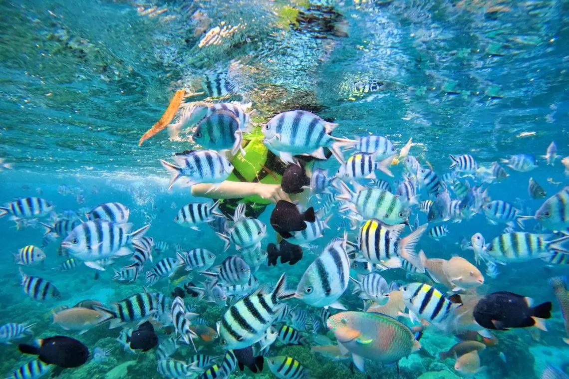 TOUR CANO 3 ĐẢO ĐẸP NHẤT PHÚ QUỐC 1 NGÀY — Phú Quốc