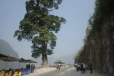 Tour cao nguyên đá Hà Giang 4 ngày 3 đêm (ô tô, khởi hành Hà Nội) (ảnh 5)