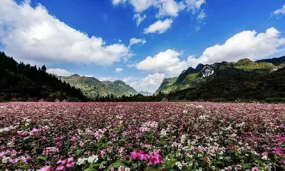 Tour Hà Giang 3 ngày 2 đêm: Hà Nội – cao nguyên đá Đồng Văn