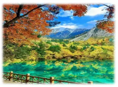 Tour Thành Đô - Cửu Trại Câu - Trung Tâm Nghiên Cứu Gấu Trúc Thành Đô EU 5 ngày 4 đêm (ảnh 3)