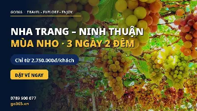 TOUR NHA TRANG – NINH THUẬN MÙA NHO 3 NGÀY 2 ĐÊM (ảnh 5)
