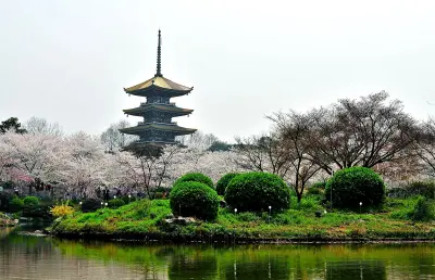 Tour Vũ Hán Ngắm Hoa Anh Đào: Đông Hồ - Thanh Xuyên Đình - Hoàng Hạc Lâu 5 ngày 4 đêm