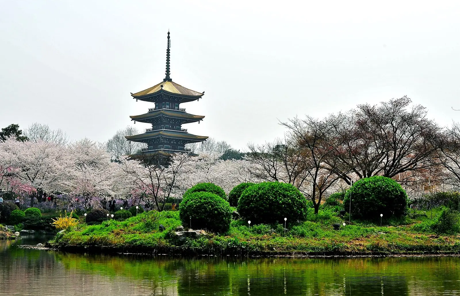 Tour Vũ Hán Ngắm Hoa Anh Đào: Đông Hồ - Thanh Xuyên Đình - Hoàng Hạc Lâu 5 ngày 4 đêm — Trung Quốc