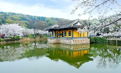 Tour Thượng Hải - Tô Châu - Hàng Châu - Vô Tích 5 ngày 4 đêm (ảnh 3)