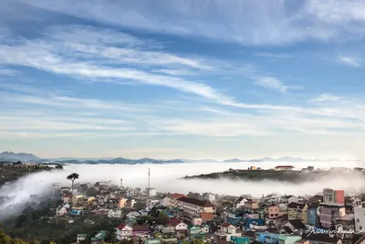 Tour khám phá Đà Lạt 4D3N (ảnh 3)