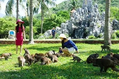 VÉ THAM QUAN ĐẢO KHỈ – ĐẢO HOA LAN (VỊNH NHA PHU) (ảnh 2)