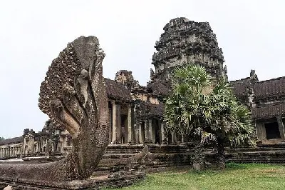Tour Siem Reap trong ngày: ngắm chim hoang dã