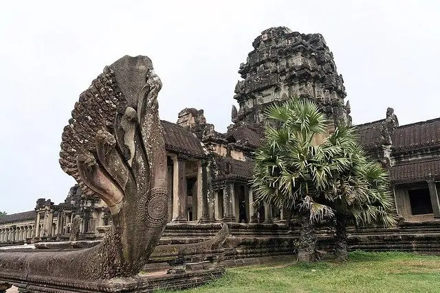 Tour Siem Reap trong ngày: ngắm chim hoang dã