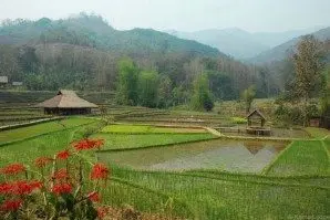 Du thuyền Lào 3 ngày: Pakse – đảo Khong – Champasak (tàu Vat Phou, ngược dòng) (ảnh 2)