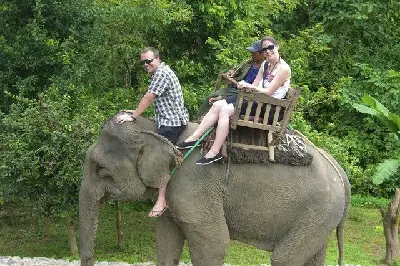 Tour Luang Prabang trong ngày: trải nghiệm voi (ảnh 3)